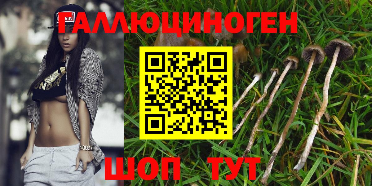 Псилоцибиновые грибы Magic Shrooms  Вход с VPN  Галлюциногенные грибы MAGIC MUSHROOMS  Сосновоборск 