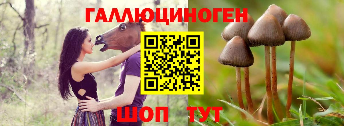 Псилоцибиновые грибы MAGIC MUSHROOMS Сосновоборск